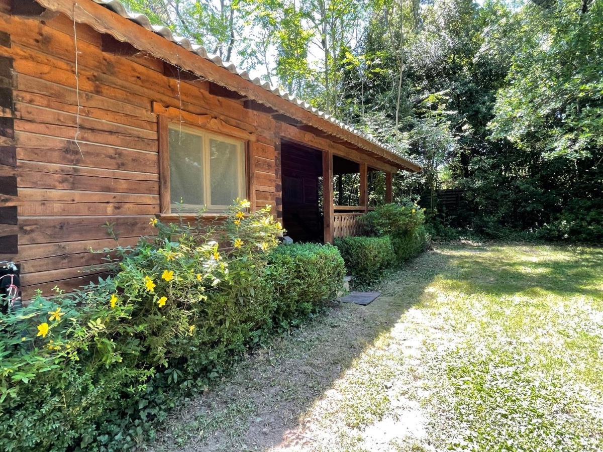 Chalet privé en Provence Saint-Rémy-de-Provence Exterior foto