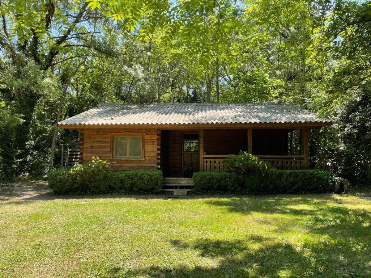 Chalet privé en Provence Saint-Rémy-de-Provence Exterior foto