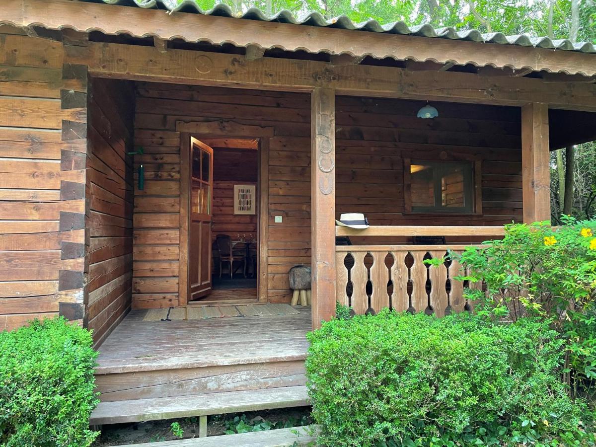 Chalet privé en Provence Saint-Rémy-de-Provence Exterior foto