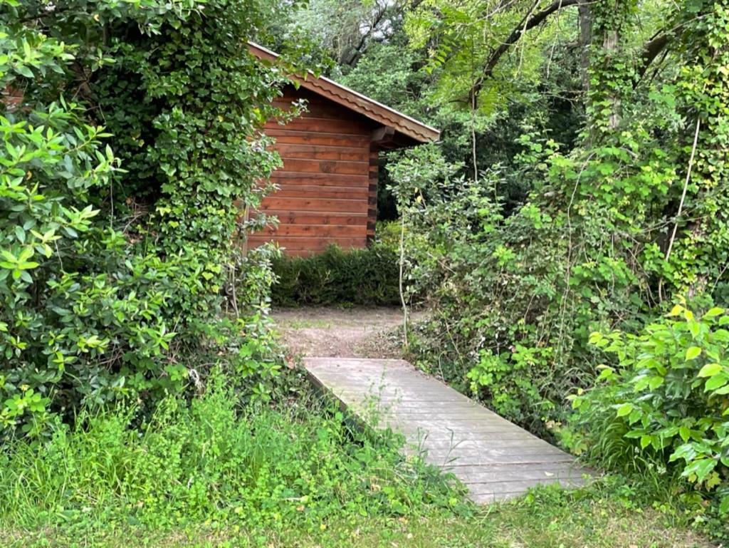 Chalet privé en Provence Saint-Rémy-de-Provence Exterior foto